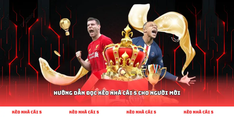 Hướng dẫn đọc kèo nhà cái 5 cho người mới