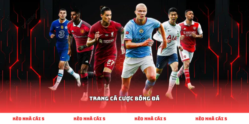Trang cá cược bóng đá